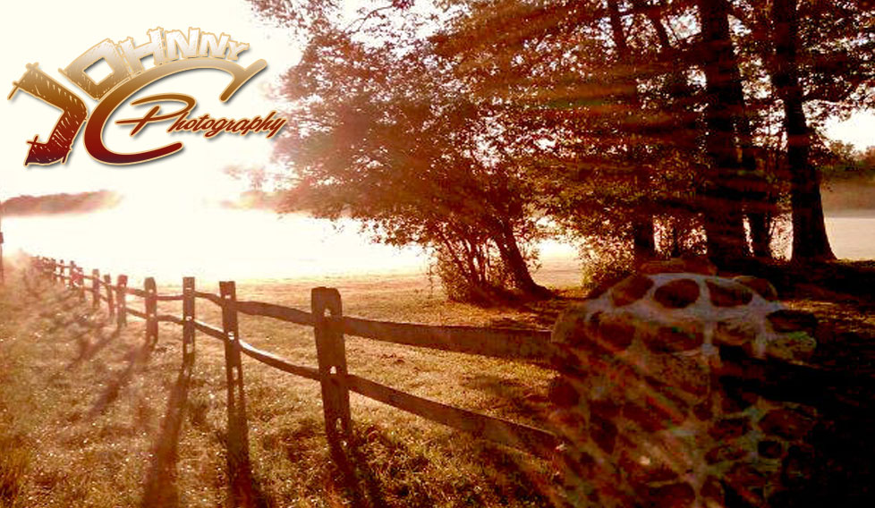 Fence In The Mist
