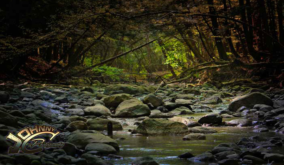 Stream Bed